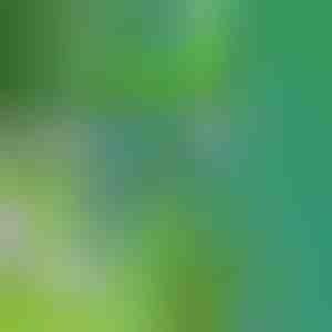 Egy eszköz a gyomok eltávolítására | SPINOUT