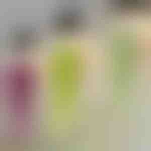 Dekoratív függő növény | IVYORA