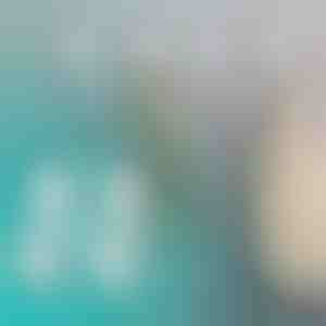 Tapadókorongos kampók (4db) | QUICKGRIP