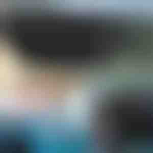 Autó szélvédő napernyő napernyő | SHADESHELLA