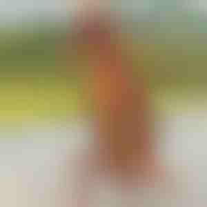 Dinoszaurusz felfújható jelmez | TREXCOS