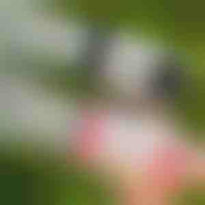 69-lyukú LED buborékfújó | BUBBLEPUFF