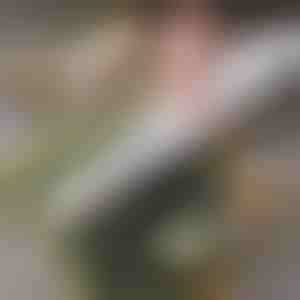 Könnyű otthoni sushi készítő | SUSHROLIO