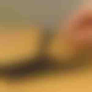 10 darabos csavarkiszedő készlet | SCREWX