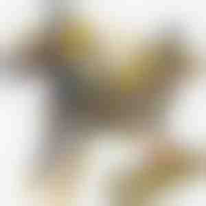 Mágneses dinoszaurusz autó játék | ROARWHEEL